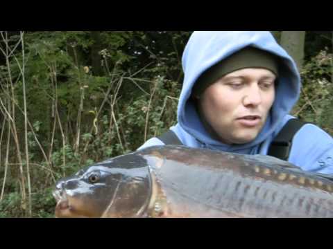 The Dovecote Chronicles Part 10