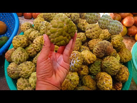 Morning Street Food At Market - Mixed Video Market Foods In Phnom Penh City