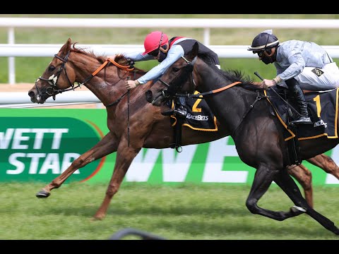 Köln - 17. Mai 2020: Schwarzgold-Rennen (Gr. III) - Siegerin: No Limit Credit