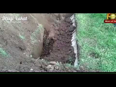 Kabur - Dr. Safet Kuduzovic