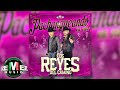 Los Reyes del Camino - Pachangueando En Vivo (Full Video)