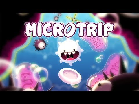 Video dari Microtrip