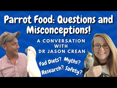 Parrot Food: Questions and Misconceptions with Dr Jason Crean | BirdNerdSophie
