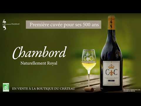 Les vendanges 2019 au château de Chambord
