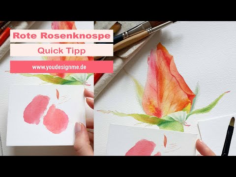 Quick Tipp Rosenknospe