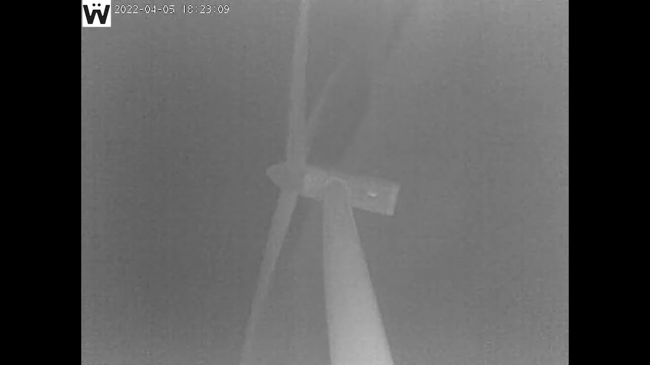 Turbine wake visualized