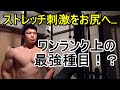 【大臀筋】お尻へ強烈な刺激【ブルガリアンスクワット】