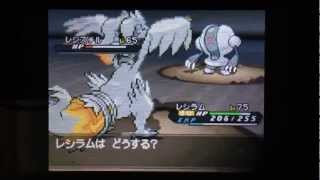 レジスチル ポケットモンスター シビビール ニドリーナ ゲコガシラ レジスチル ポケットモンスター シビビール ニドリーナ ゲコガシラ