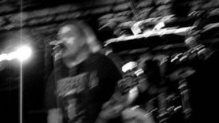 Black Stone Cherry - MAYBE SOMEDAY