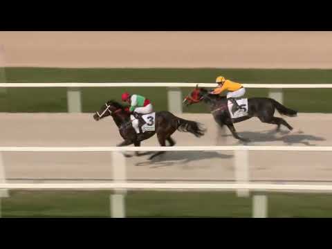 2022.10.09. Napi összefoglaló