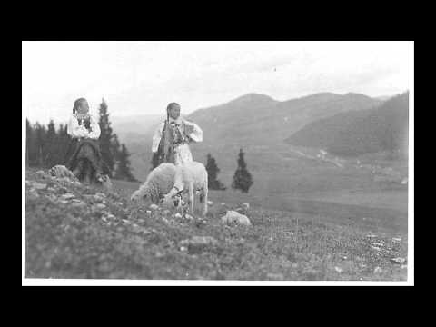 FS Železiar - A ja drymbu kupuvala (Ukrainian/Rusyn Folk Song)