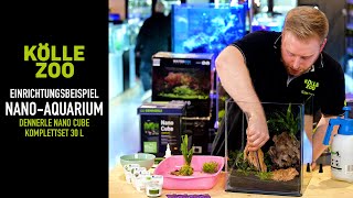 Einrichtungsbeispiel Nano-Aquarium Dennerle Nano Cube Komplettset 30 L | KÖLLE ZOO