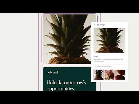 Video preview