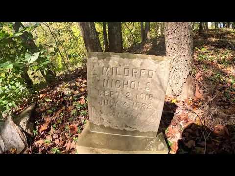 Mildred’s Last Summer - 4 Year Old Killed By Her Brother- July 4th 1922- West Virginia