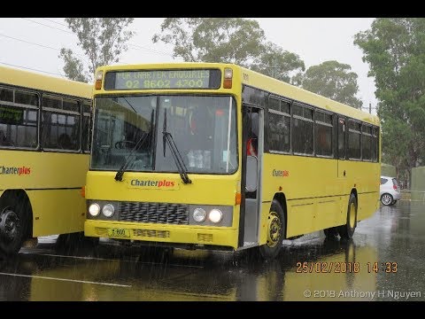 CDC Charterplus [St Marys] Volvo B10M Mk III / Custom Coaches 205, m/o 800