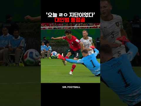 월드컵 체코전 MVP '황인범'