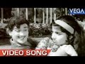 Varushathai Paaru Aruvathi Aaru Male Version Kumari Penn Movie