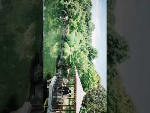 庭園内の地下プール – 種類、選択のアドバイス、素晴らしい写真  庭園