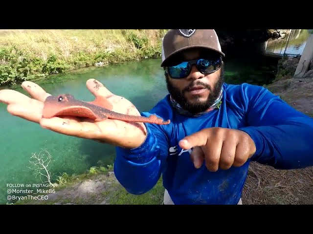 DIY SODA BOTTLE FISH TRAP with GoPro | Monster Mike Fishing