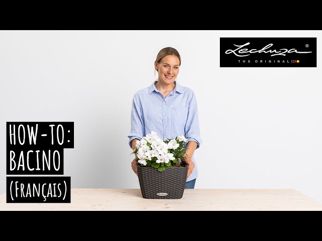 Video Teaser für How-To: BACINO Cottage | Français