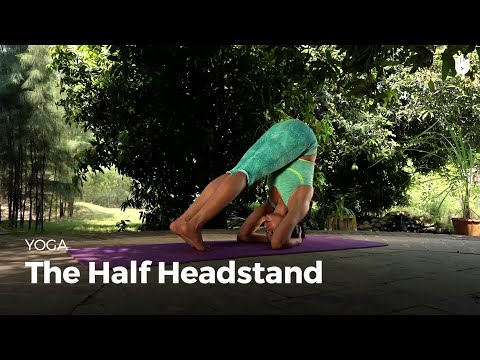 Learn the Half Headstand - Ardha Shirshasana | Yoga