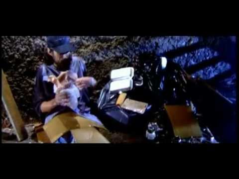 Sonia Dersion - Kimbé