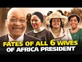 How The 6 Ex Wives Of South Africa S President Live Today They Are Revealing Shocking Secrets