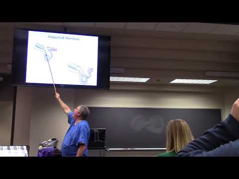 Abdominal Wall Part 2