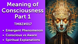 The Meaning of Consciousness (Part 1)