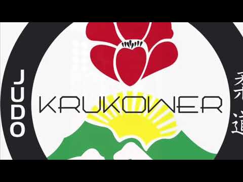 Judo Clinics by Daniela Krukower