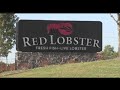 Red Lobster ending unlimited shrimp deal
