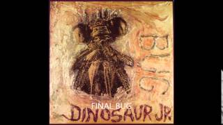 Dinosaur Jr. "Budge" (Instrumental Cover)