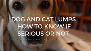Is this Lump Serious? 5 Steps to Know