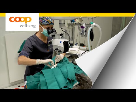 Zu Besuch bei der Tieraugenärztin | Churer Tierklinik