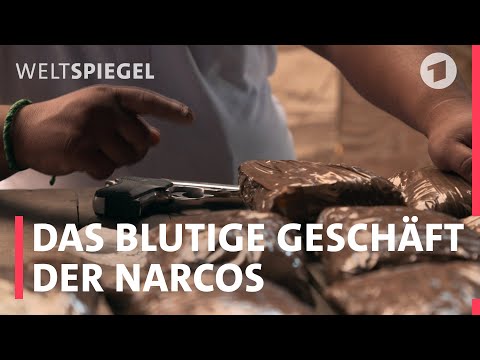 Narcos & Kartelle: Einblicke ins blutige Drogengeschäft
