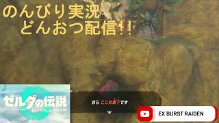 どんおつ配信「ゼルダの伝説 ティアーズオブザキングダム」31