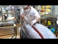 209kg Giant Tuna Cutting Show 거대한 참치 해체 쇼 209公斤巨大鮪魚切割