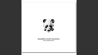 In the Name of Revenge