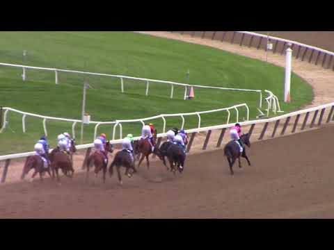 2018 Belmont Stakes as seen from the Clubhouse