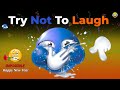 NEW YEAR NEW Try Not To Laugh Challenge IMPOSSIBLE 2026 You Laugh You Lose Part 86