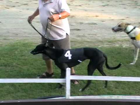 Federation Sprint & Trophy - semifinals 7. 7. 2012 race 8