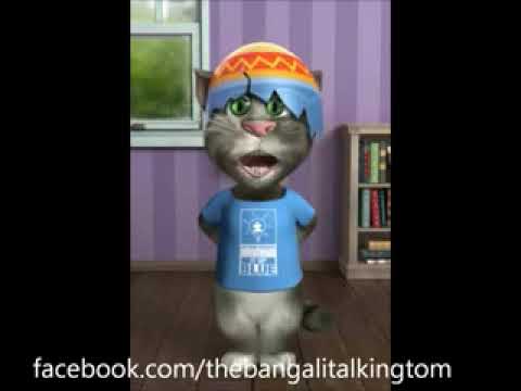 The fanny  Tom cat