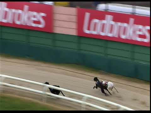 Thursday 23 February 2023 Trial 3