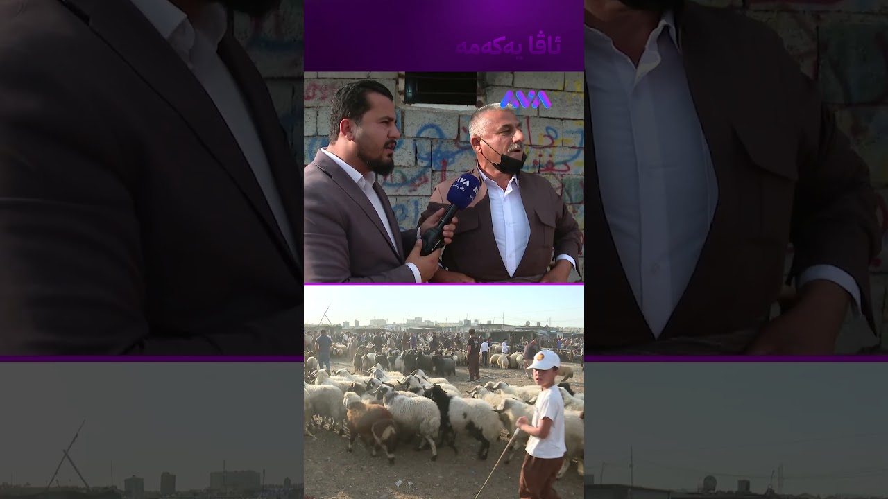 ڤیدیۆ | حەرامە گۆشتی قوربانی نافرۆشم