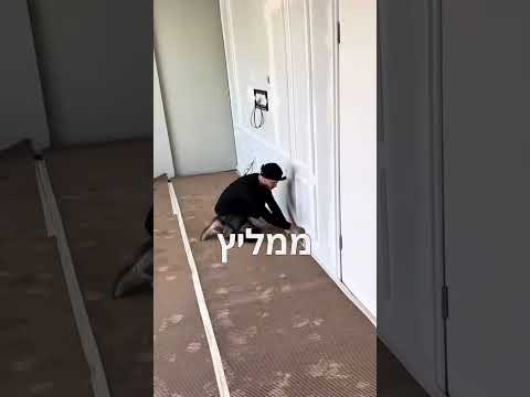 עידן החידוש שפכטל צבע לבית