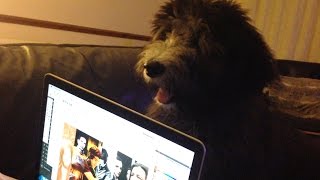 She keeps closing the laptop