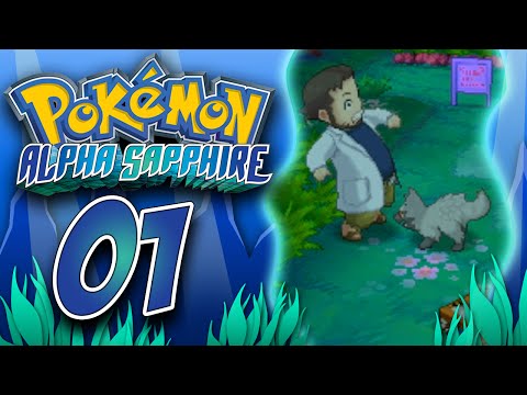 Pokémon Omega Ruby & Alpha Sapphire - Episode 1: Moving In!