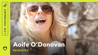 Aoife O&#39;Donovan, &quot;Beekeeper&quot;: Stripped Down (Live)