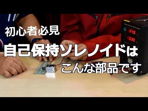 ソラノイド科について詳しく解説