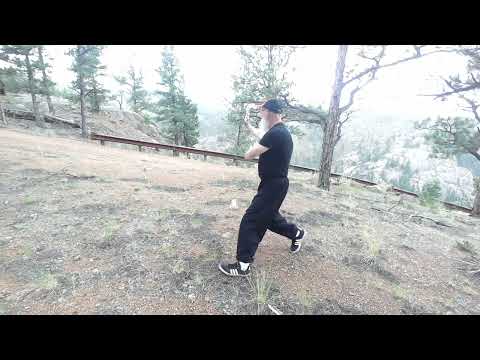 BaGua Zhang Memorial Demo for my Teacher, Dr Leung Kay-chi RIP.